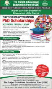 Peef Scholarship Form 2020 For Master Level
