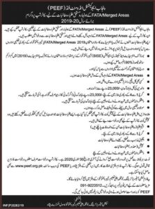 Peef Scholarship Form 2020 For Matric