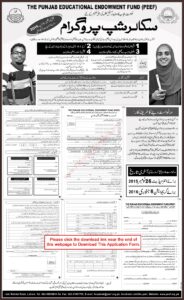 Peef Scholarship Form For Matric Students