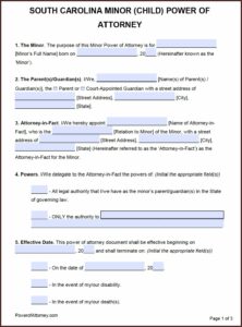 Power Of Attorney Form South Carolina