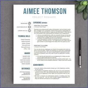 Resume Template Word Us