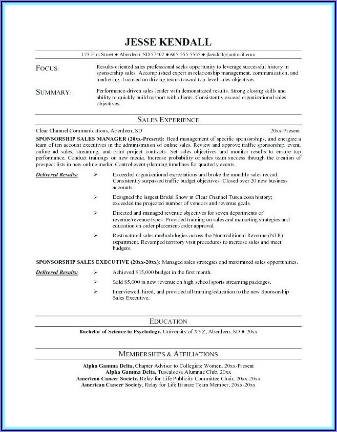 Resume Templates American Style