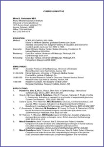 Resume Usa Template