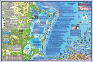 Riviera Maya Hotel Map 2019
