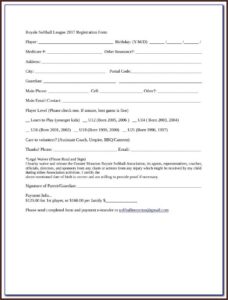 Softball Tryout Registration Form Template
