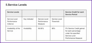 Software Support Sla Template
