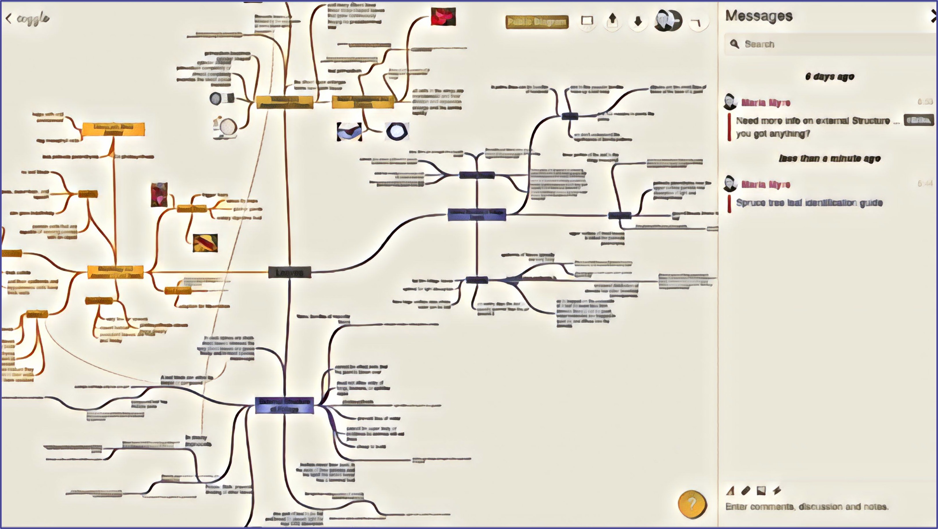 The Best Mind Mapping Software In 2019