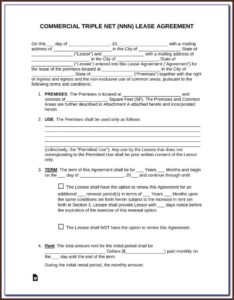 Triple Net Lease Form Texas