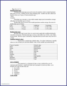 Veterinary Locum Invoice Template