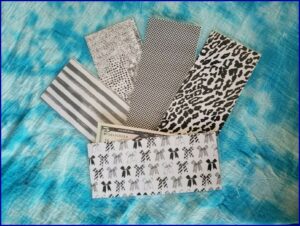 Dave Ramsey Cash Envelope