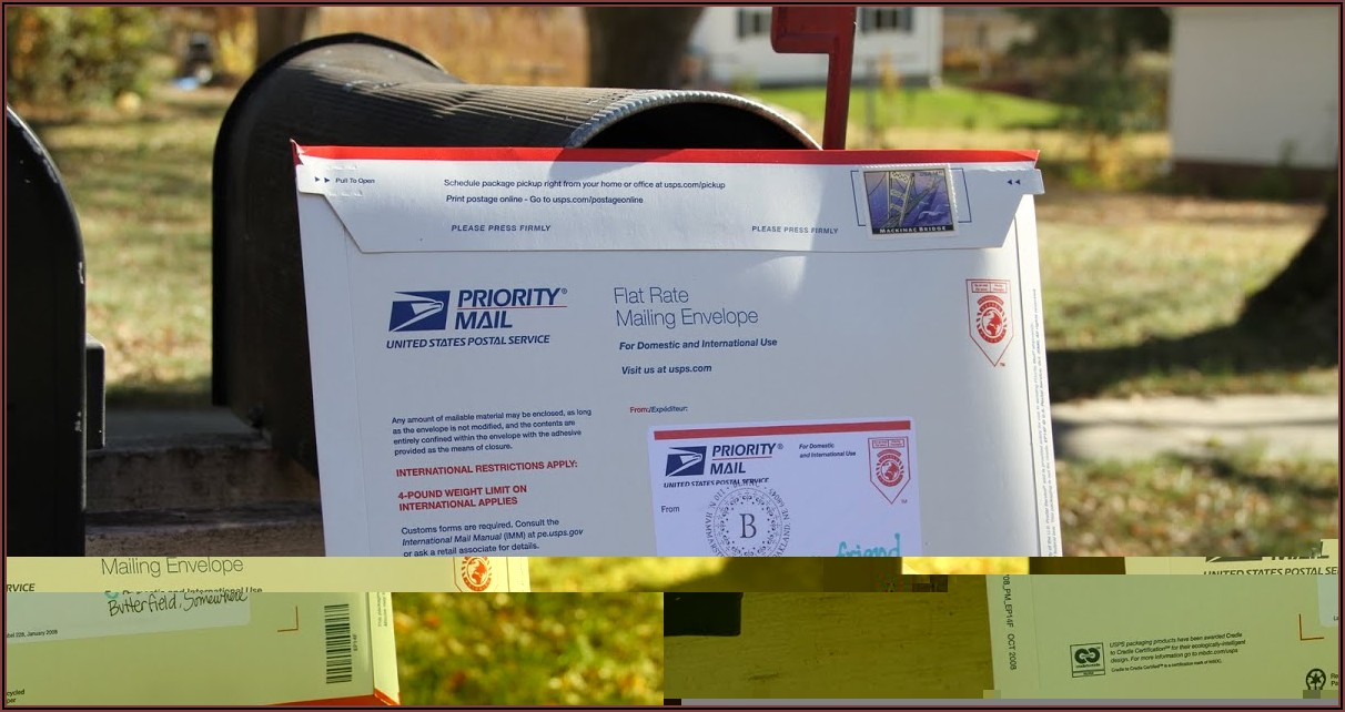 Priority Mail Envelope Stamps