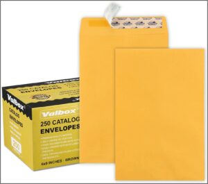 6 X 9 Booklet Window Envelopes