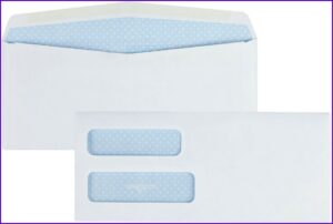 9x12 Double Window Catalog Envelope