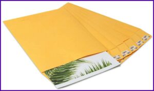 9x12 Self Seal Envelopes
