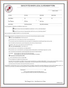 Child Custody Forms Colorado