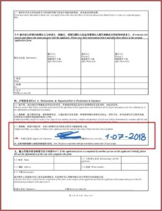 Chinese Embassy Nepal Visa Application Form