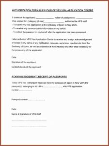 Chinese Embassy Visa Application Form