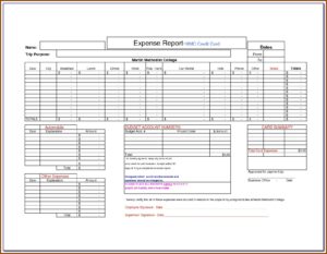 Credit Card Expense Report Form