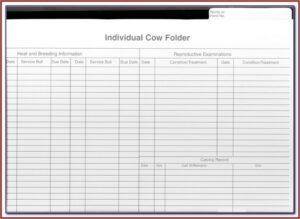 Daycare Record Keeping Forms