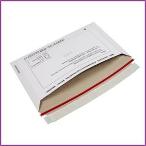 Dhl Express Envelope 1 Size