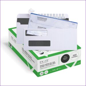 Double Window Business Envelopes