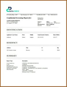 Employee Background Verification Report Format India