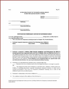 Florida Temporary Guardianship Of Minor Form
