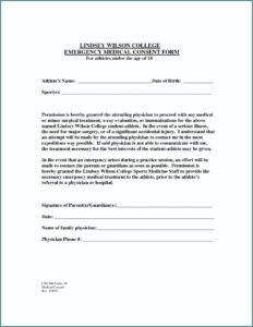 Free Printable Medical Treatment Consent Form