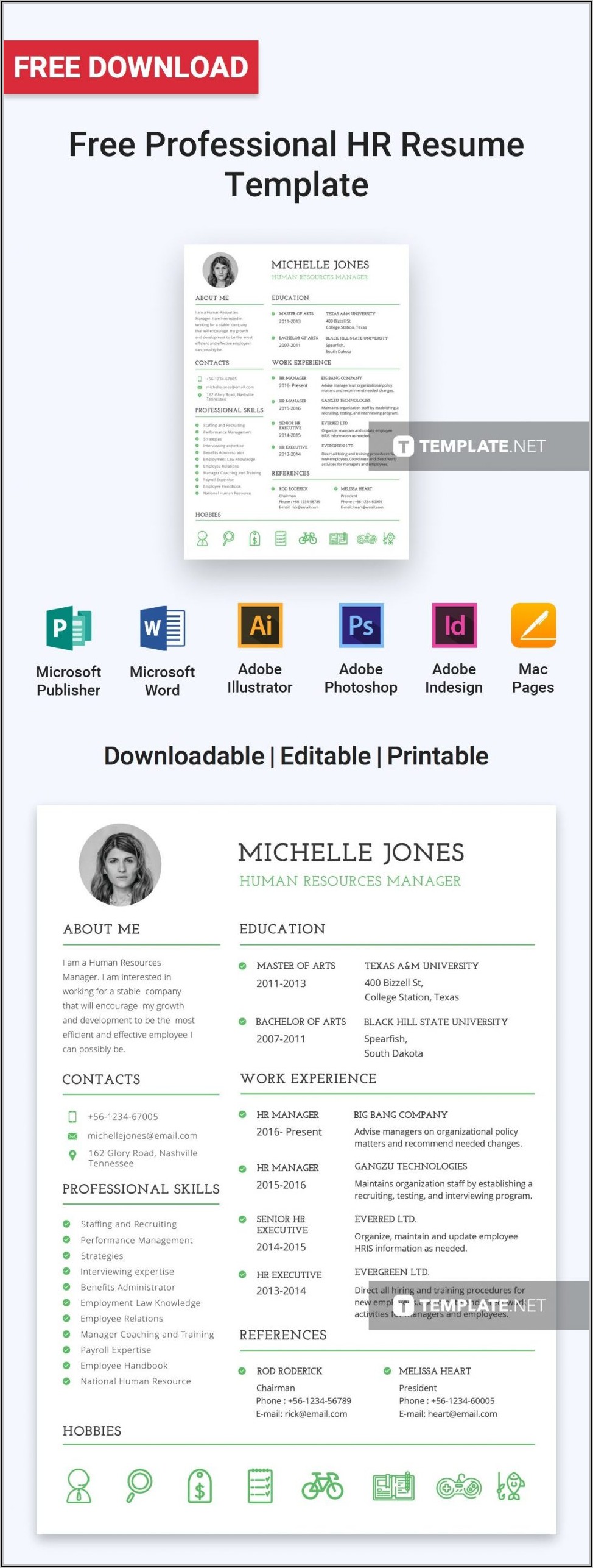 Free Professional Resume Template Microsoft Word