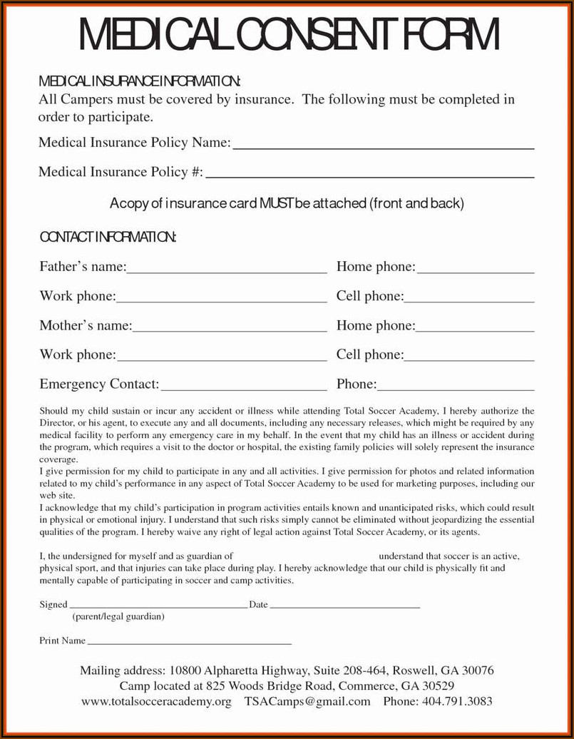 Health Care Consent Form
