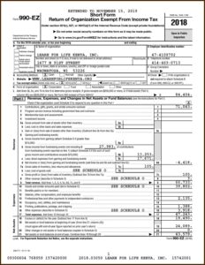 Instructions For Schedule A (form 990 Or 990 Ez) Public Charity Status And Public Support