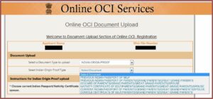 Oci Indian Visa Application Form Online
