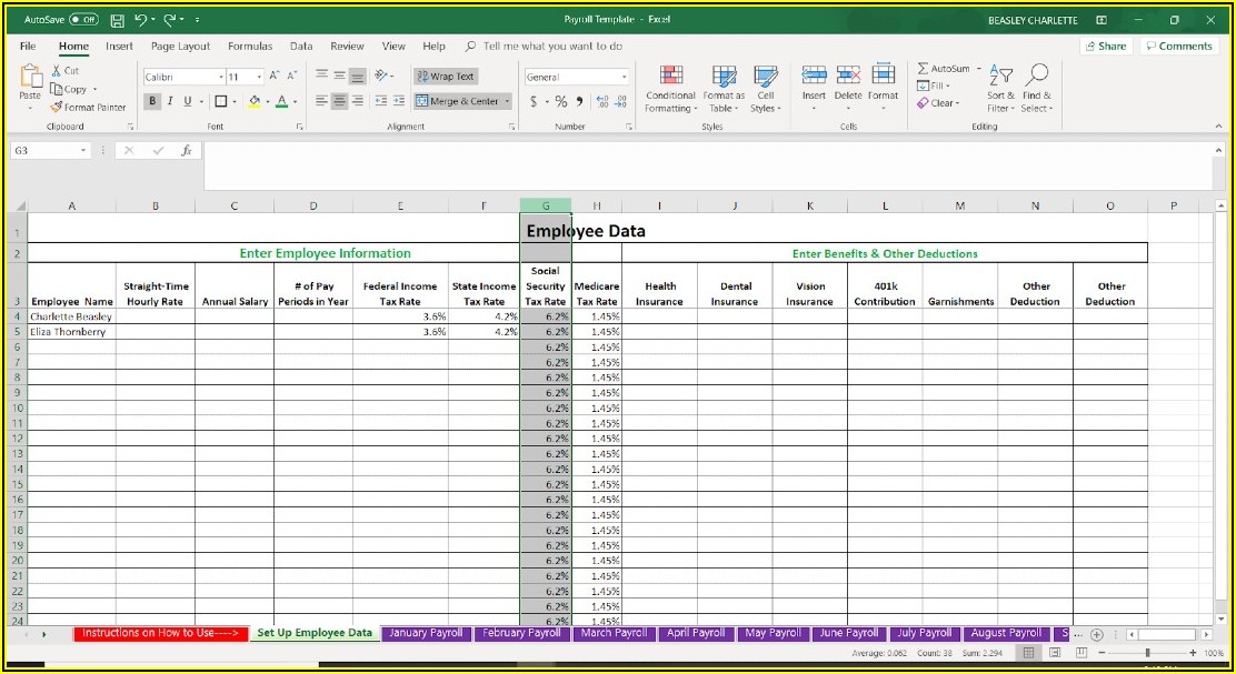 Pay Statement Template