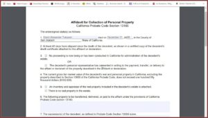 Printable Probate Form 13100