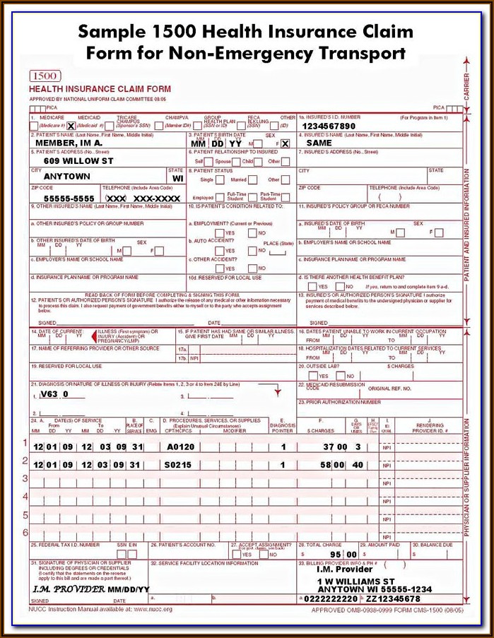 Sample Medicare Hcfa 1500 Form
