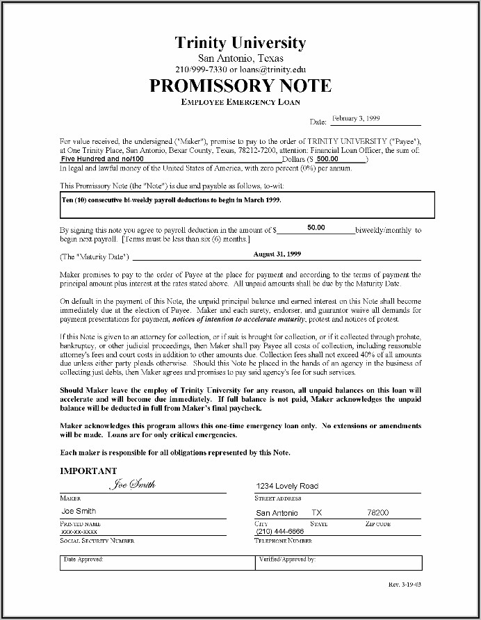 Sample Promissory Note Hospital Bill