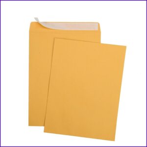 Self Seal Envelopes Bulk Pack White 9 X 12