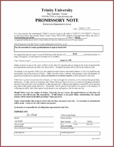 Simple Promissory Note Template Texas