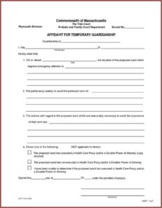 Texas Temporary Guardianship Of Minor Form