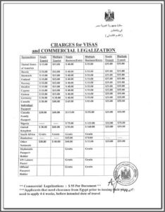 Travisa India Visa Application Form