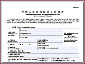 Vfs India Tourist Visa Application Form