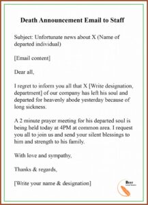 Baby Arrival Employee New Baby Announcement Email