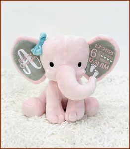 Birth Announcement Stuffed Animal