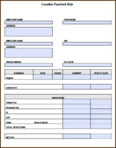 Canadian Pay Stub Template Pdf