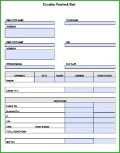 Canadian Printable Pay Stub Template Free