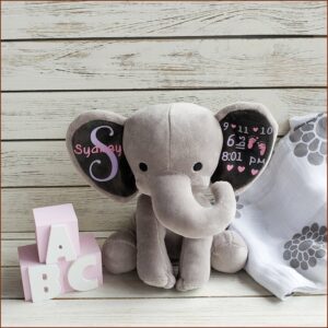 Custom Birth Announcement Stuffed Animal
