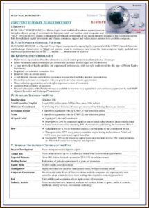 Equity Investment Term Sheet Template