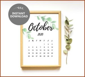 Etsy Baby Announcement Calendar