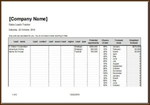 Excel Templates For Sales Leads