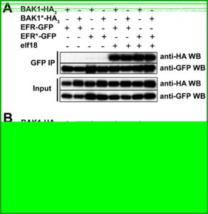 Finder's Fee Agreement Template Free Download